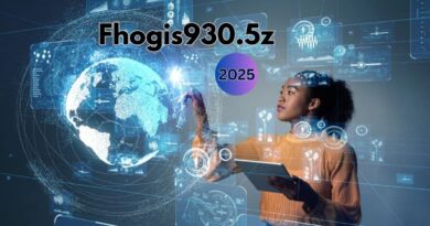 Fhogis930.5z in 2025