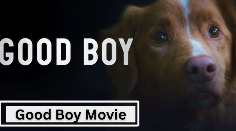 good boy movie