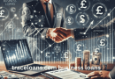Traceloans.com Business Loans: A Complete Guide for Entrepreneurs in 2025